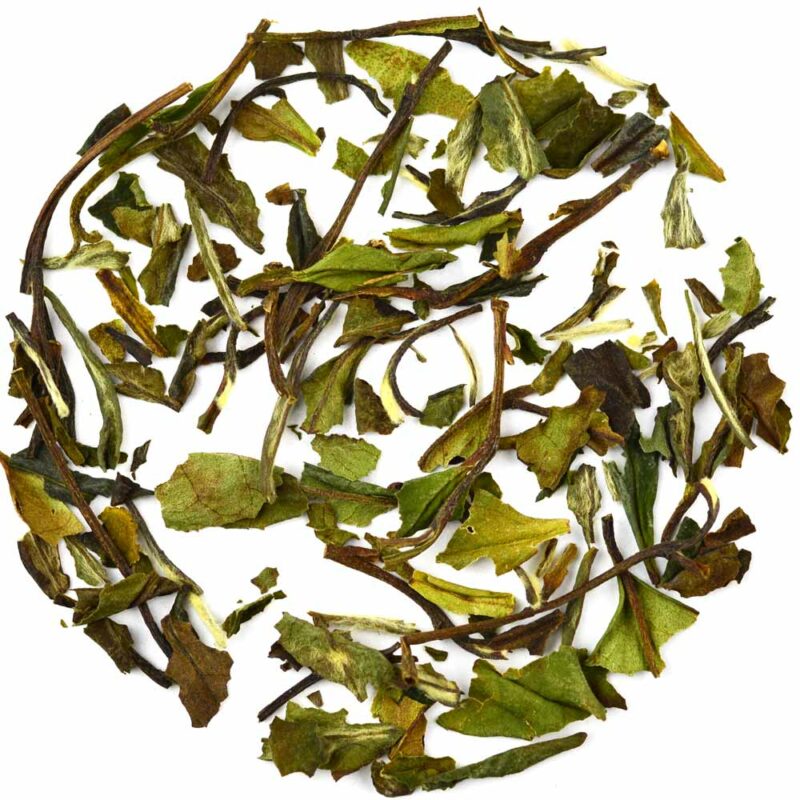 benefits of white tea GROSCHE-Icewine-White-Tea