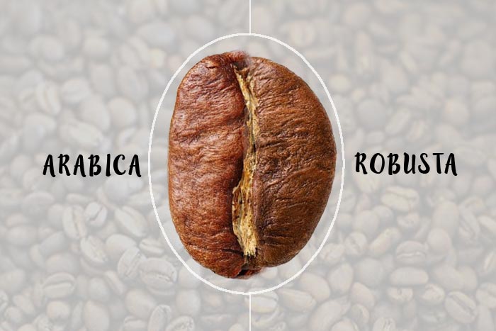 robusta vs arabica blog